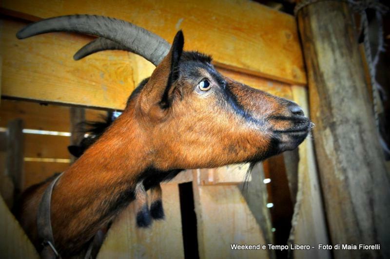Agriturismo Slowcanda Cardella المظهر الخارجي الصورة
